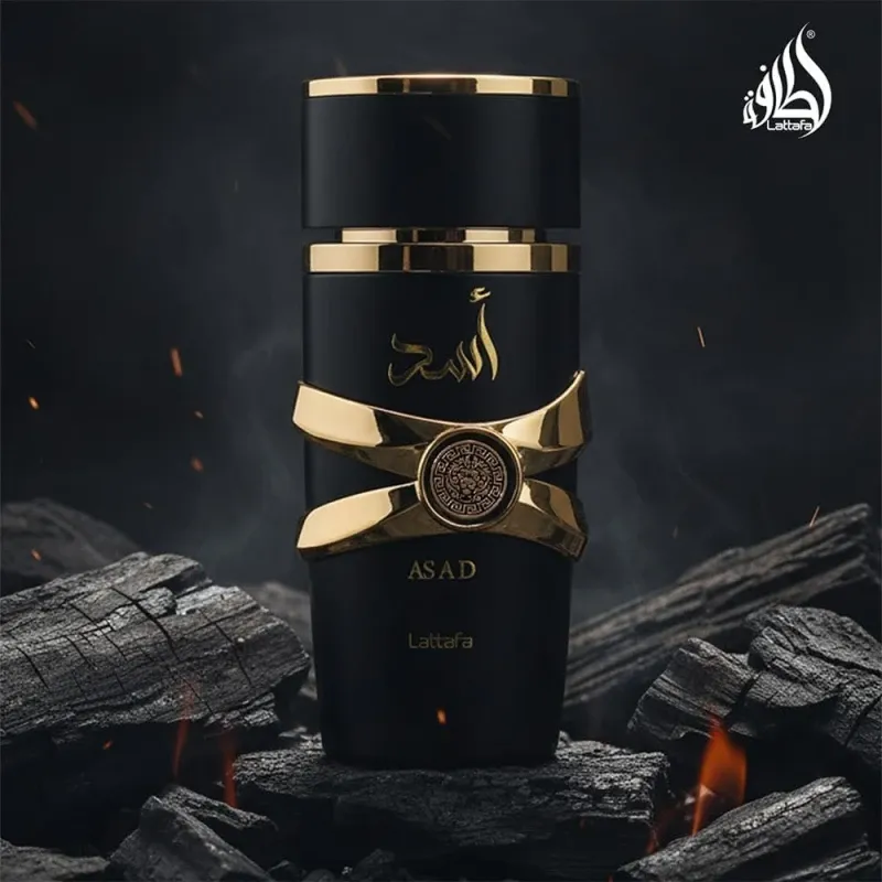 Lattafa Asad Eau de Parfum for Men 100 ml 3