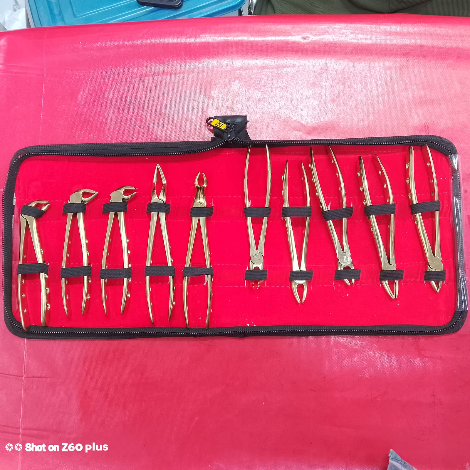 Dental Forcep Set. SIAG, PAKISTAN-Gold Colour  2